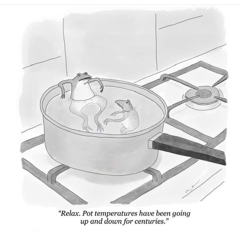 The meme is a cartoon illustration of two frogs sitting in a pot on a stovetop. The text at the bottom of the image reads: "Relax. Pot temperatures have been going up and down for centuries." The image is a humorous take on the common phrase "the pot has been boiling" and the idea that frogs are often associated with being in a "hot" situation.